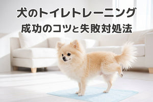 【獣医師監修】犬のトイレトレーニング:しつけ成功のコツと失敗への対処法