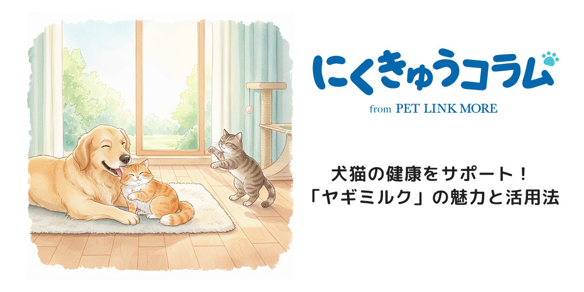 犬猫の健康をサポート！「ヤギミルク」の魅力と活用法