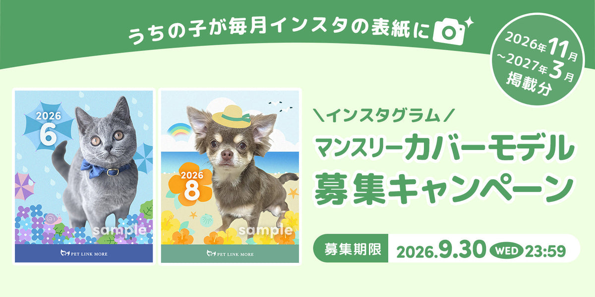 わんにゃんマンスリーカバーモデル募集キャンペーン【2026年11月〜2027年3月掲載分】