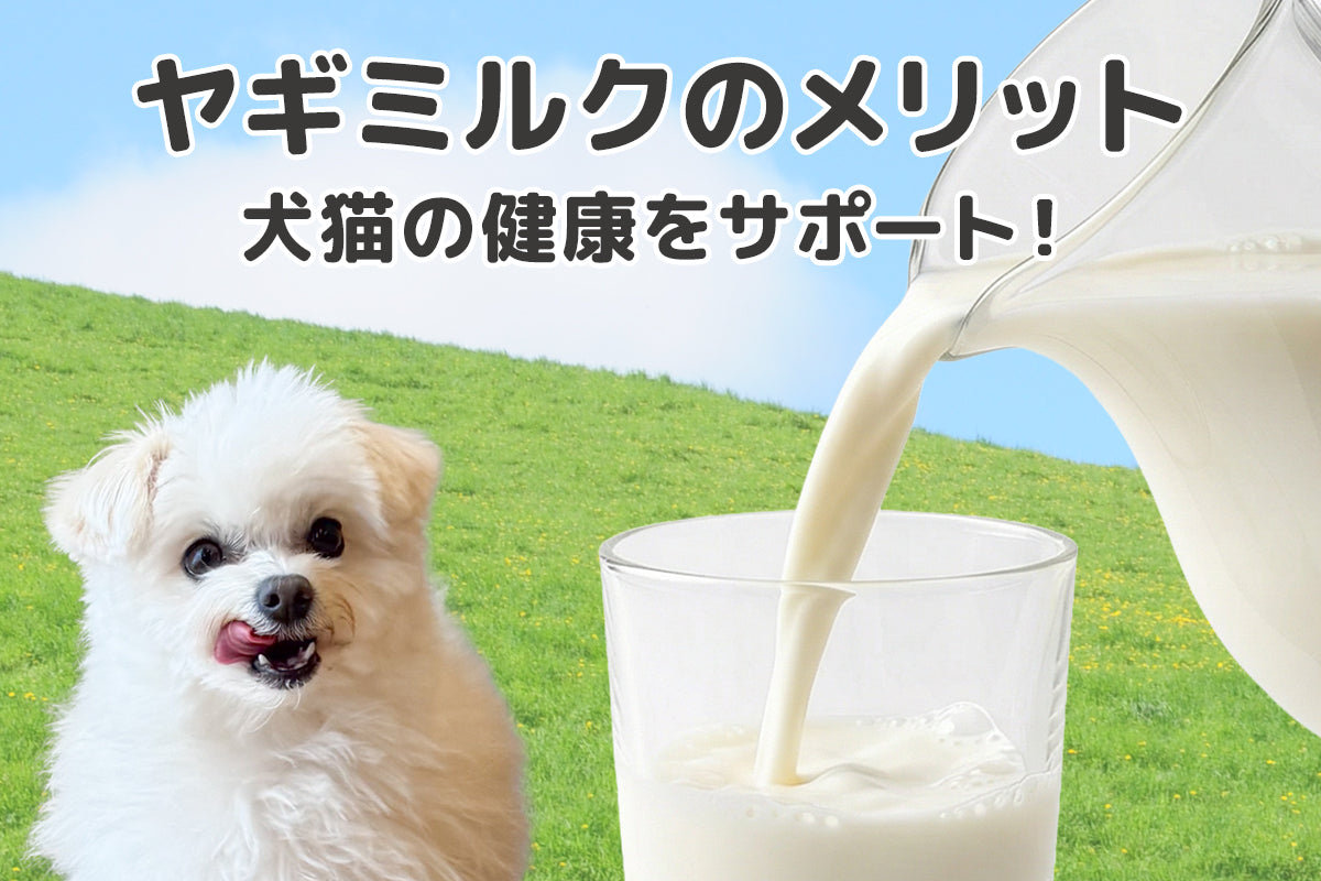 犬猫の健康をサポート！「ヤギミルク」のメリット、デメリット