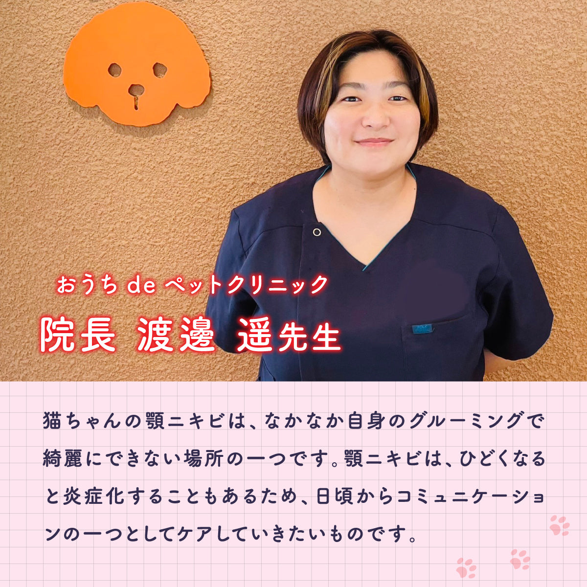 【猫用】猫あごクリーナー 50g