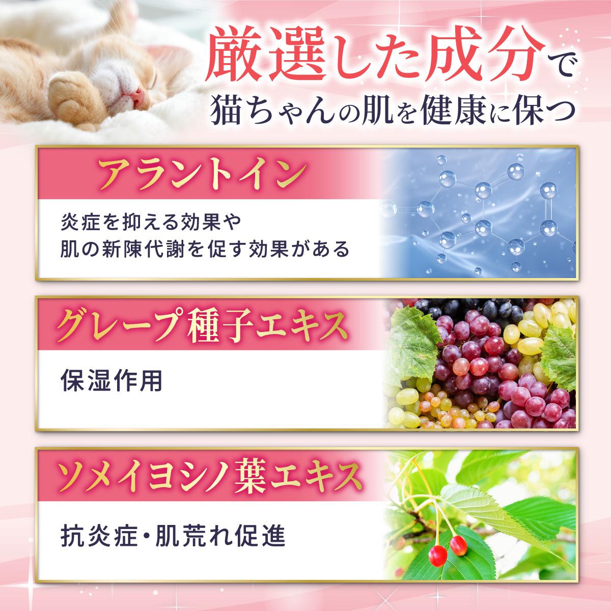 【猫用】猫あごクリーナー 50g