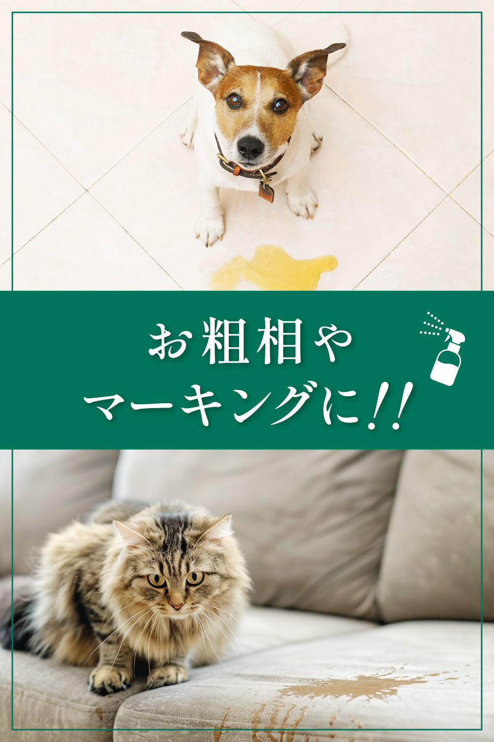 【犬・猫用】消臭＆抗菌スプレー 300ml