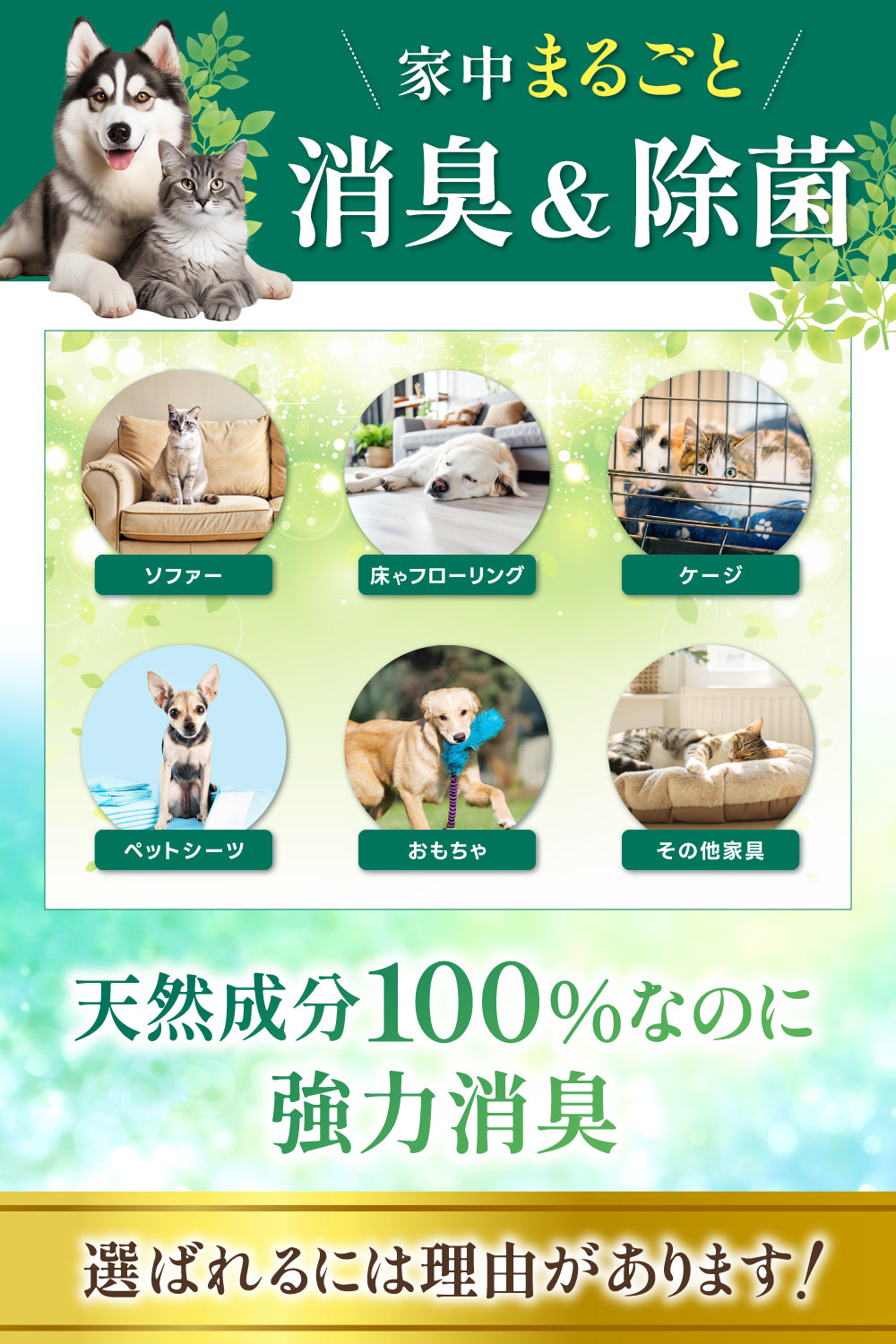 【犬・猫用】消臭＆抗菌スプレー 300ml