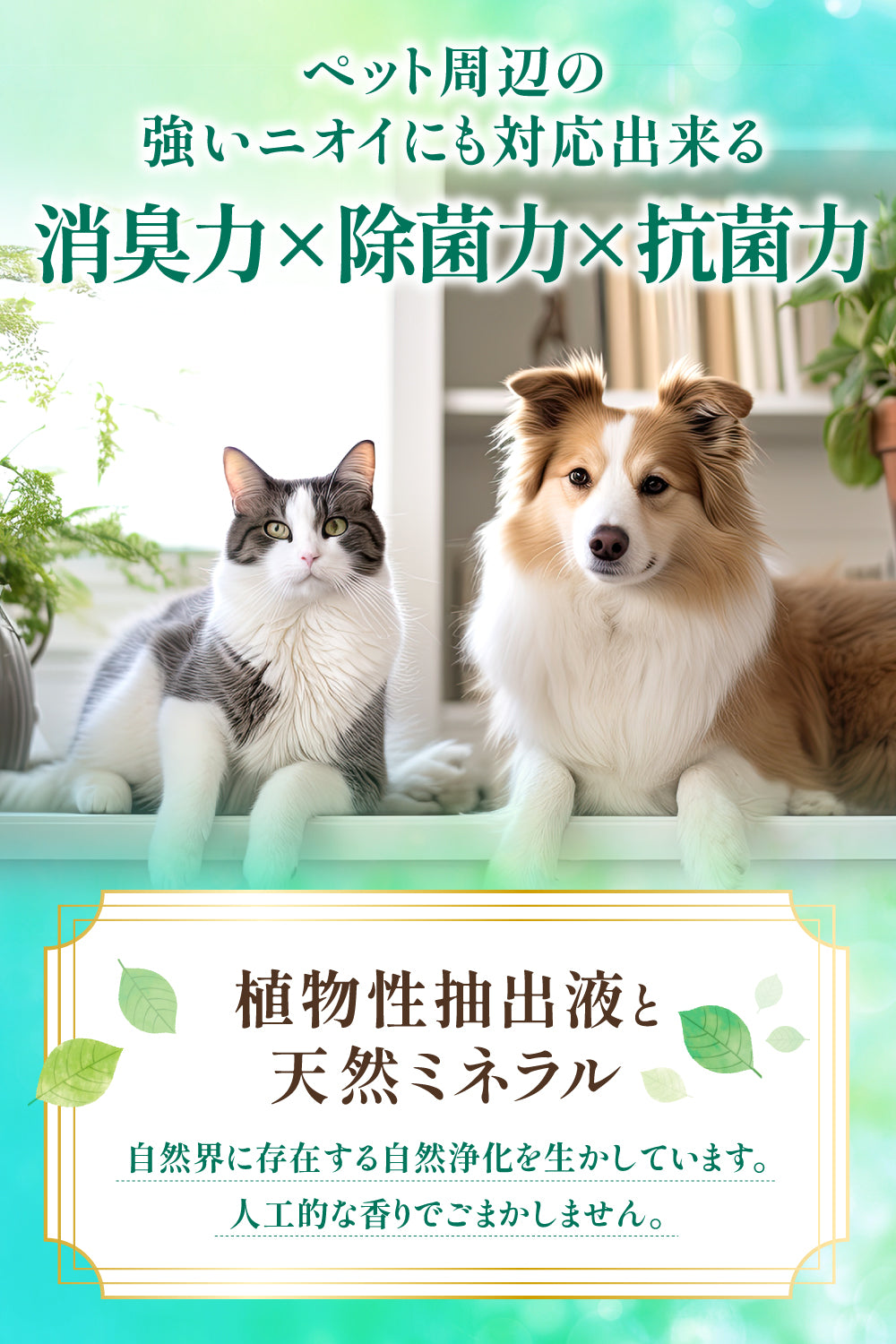 【犬・猫用】消臭＆抗菌スプレー 300ml