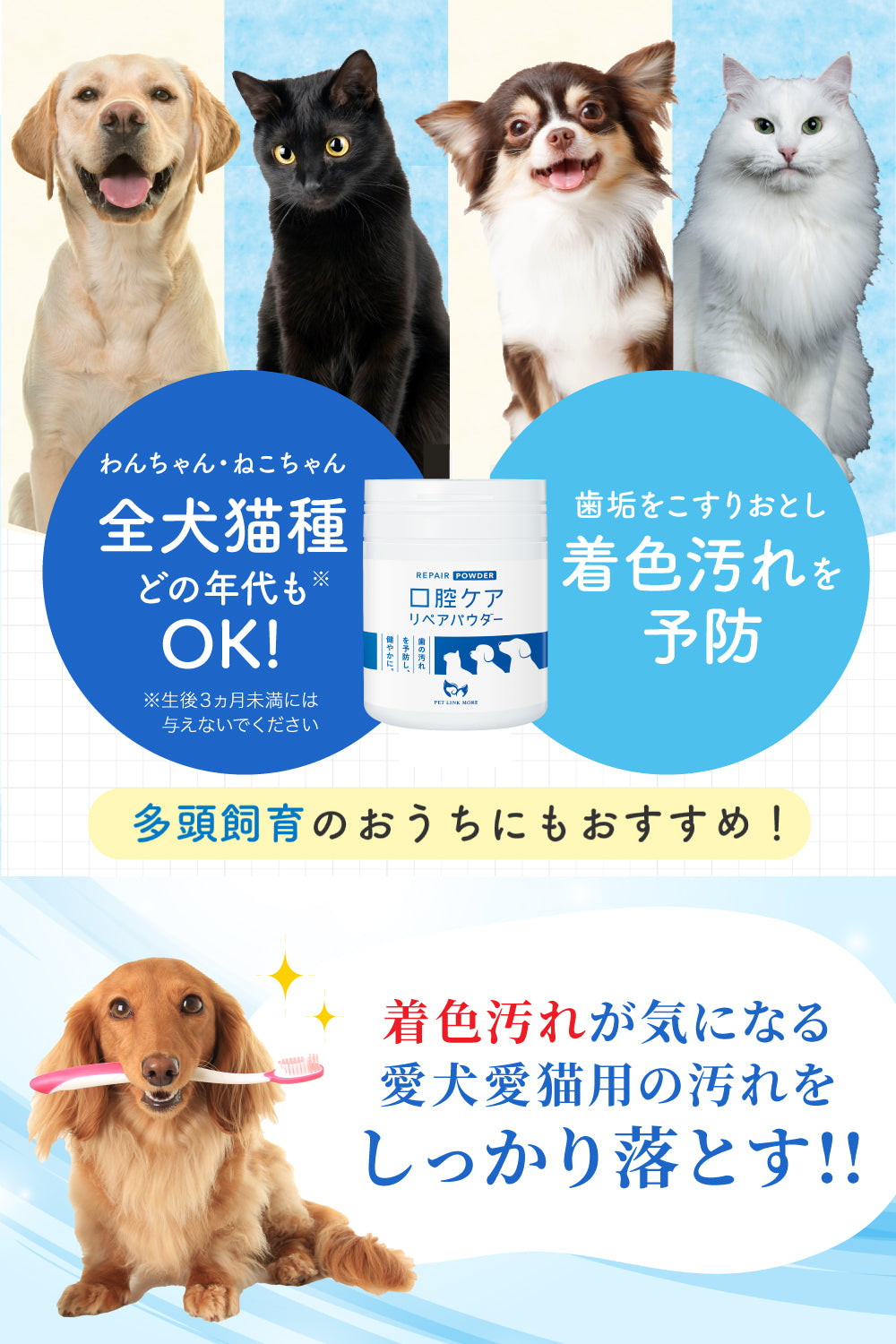 【犬・猫用】口腔ケア リペアパウダー 90g