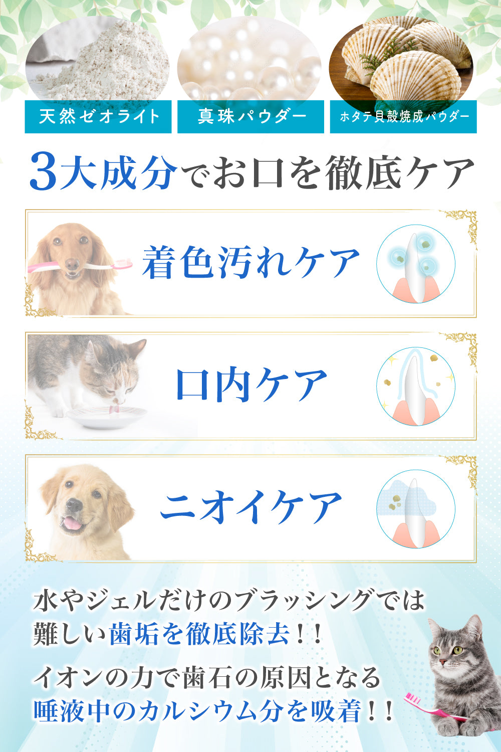 【犬・猫用】口腔ケア リペアパウダー 90g