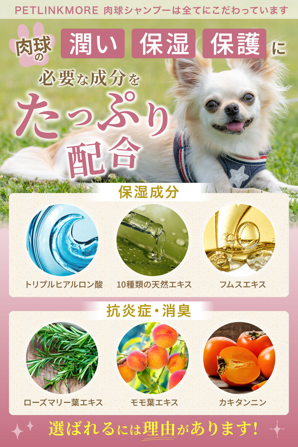【犬・猫用】水を使わない肉球シャンプー 泡タイプ 150ml