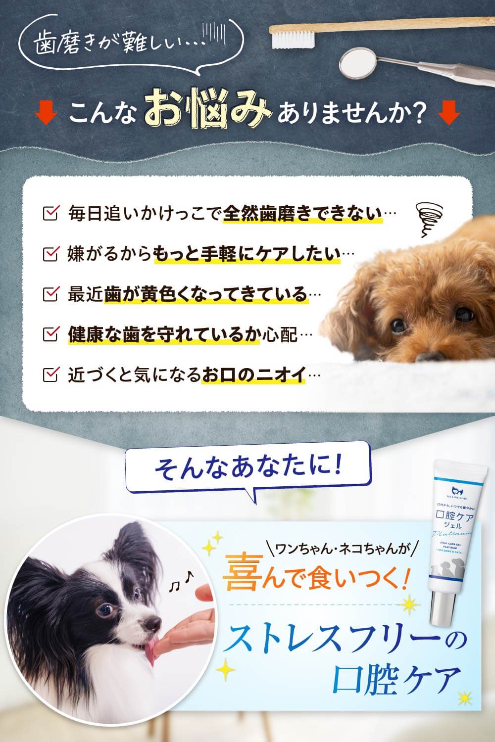 【犬・猫用】口腔ケア ジェル Platinum 30g