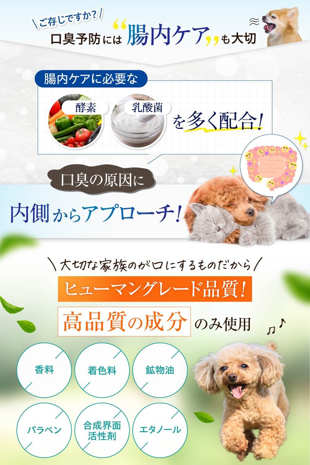 【犬・猫用】口腔ケア ジェル Platinum 30g