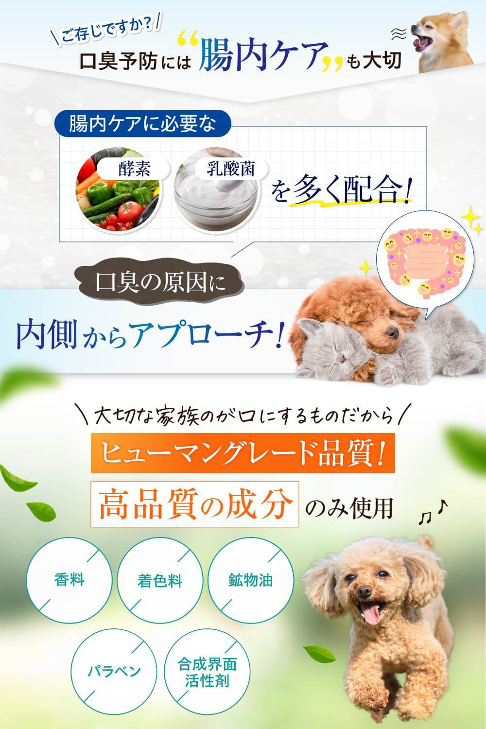 【犬・猫用】口腔ケア ジェル Platinum 30g