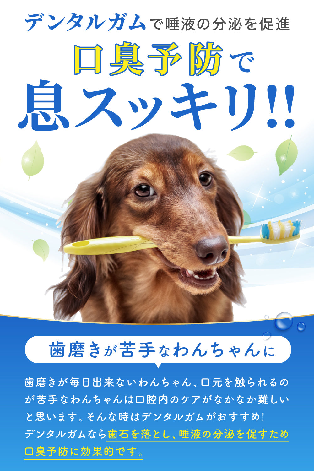 【犬用】口腔ケア 歯磨きガム 25本