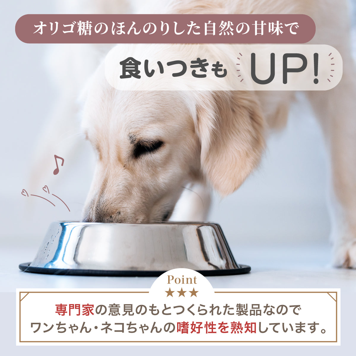 【犬・猫用】口腔ケア サプリメント PREMIUM 粉末