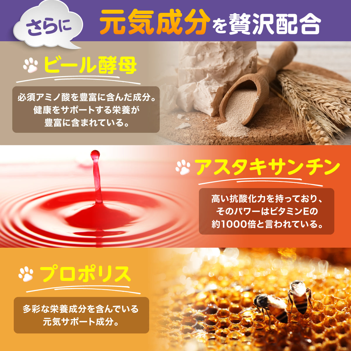 ルテイン&ブルーベリーサプリメント チキン味 粉末20g-05