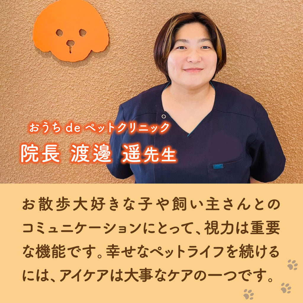 【犬用】ルテイン＆ブルーベリーサプリメント チキン味 粉末20g
