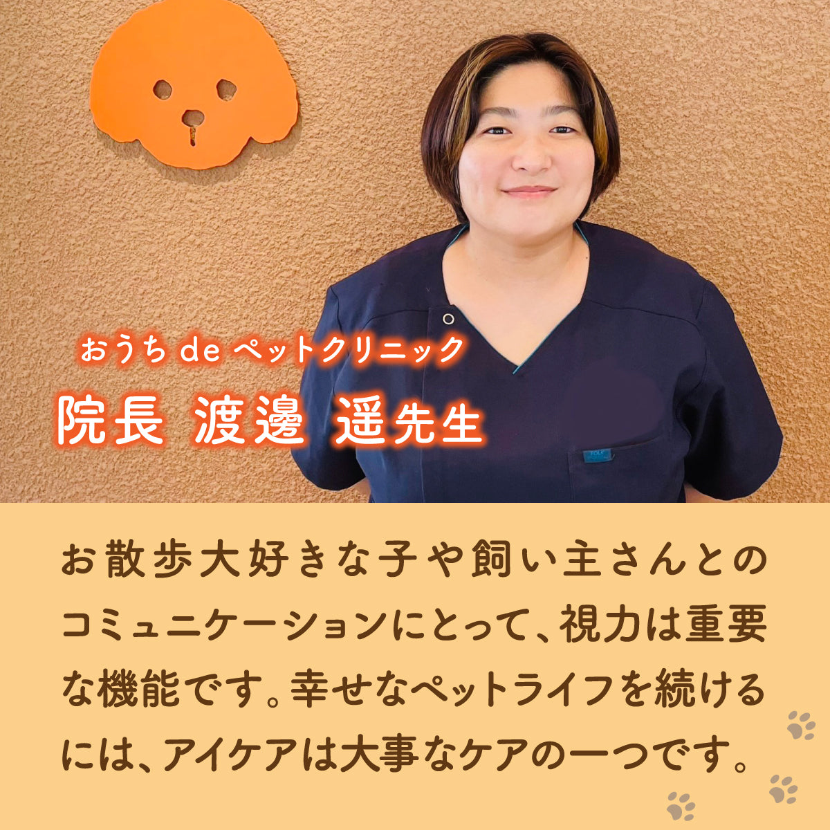 【犬用】ルテイン＆ブルーベリーサプリメント チキン味 粉末20g