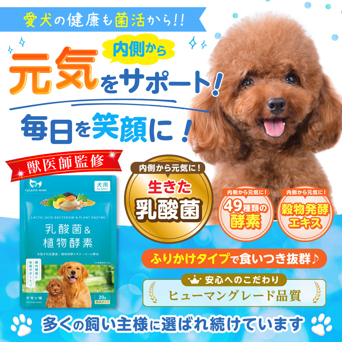 【犬用】乳酸菌＆植物酵素サプリメント チキン味 粉末20g