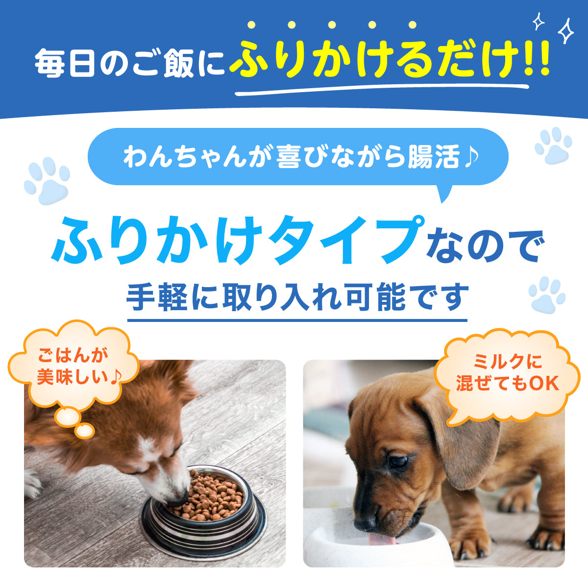 【犬用】乳酸菌＆植物酵素サプリメント チキン味 粉末20g