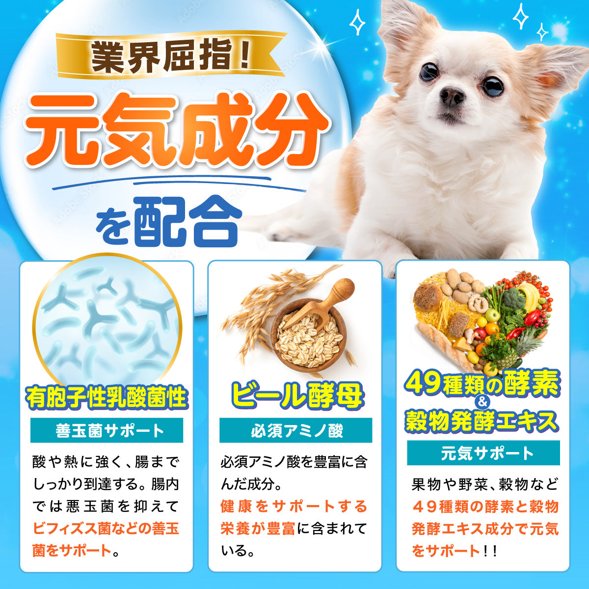 【犬用】乳酸菌＆植物酵素サプリメント チキン味 粉末20g