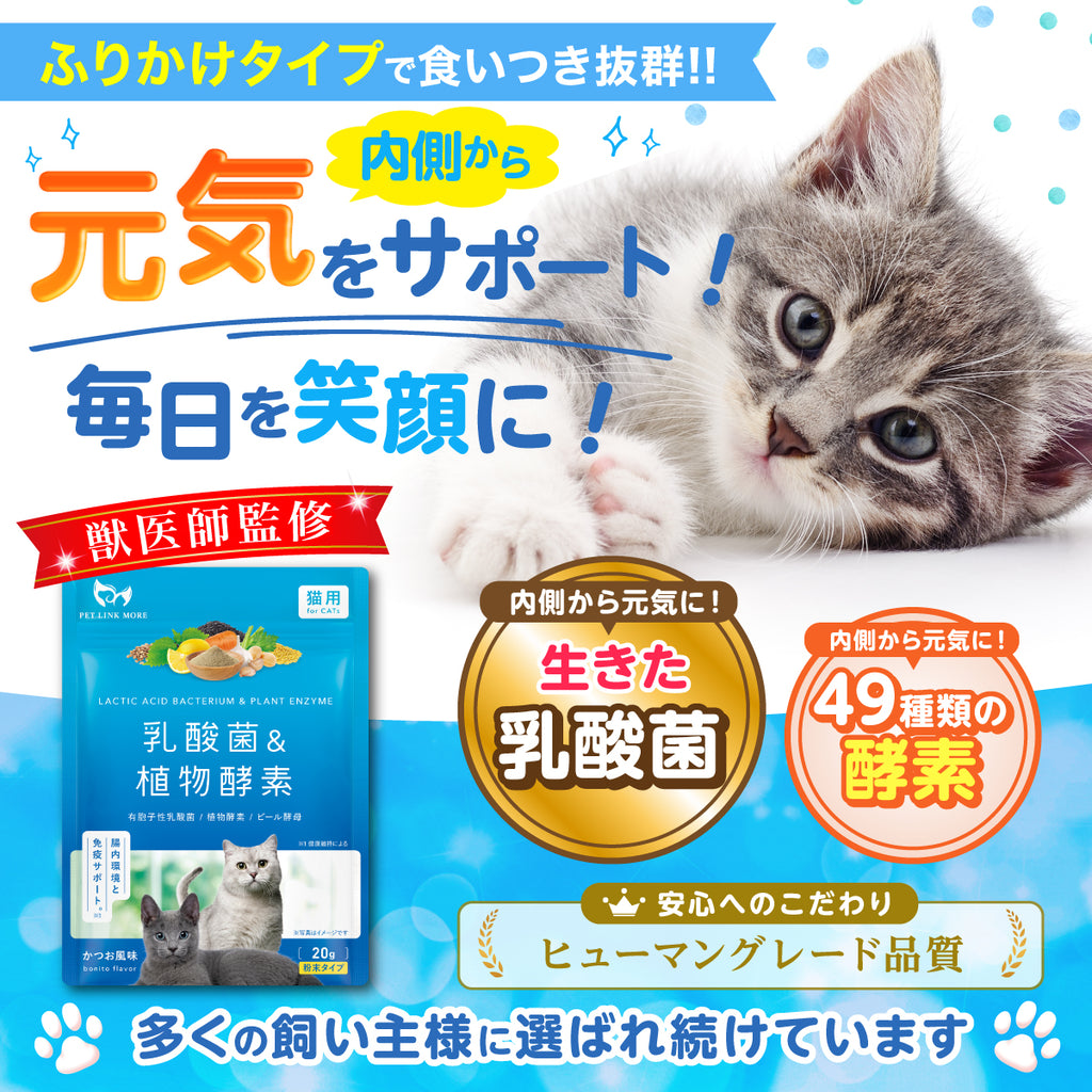 【猫用】乳酸菌＆植物酵素サプリメント かつお風味 粉末
