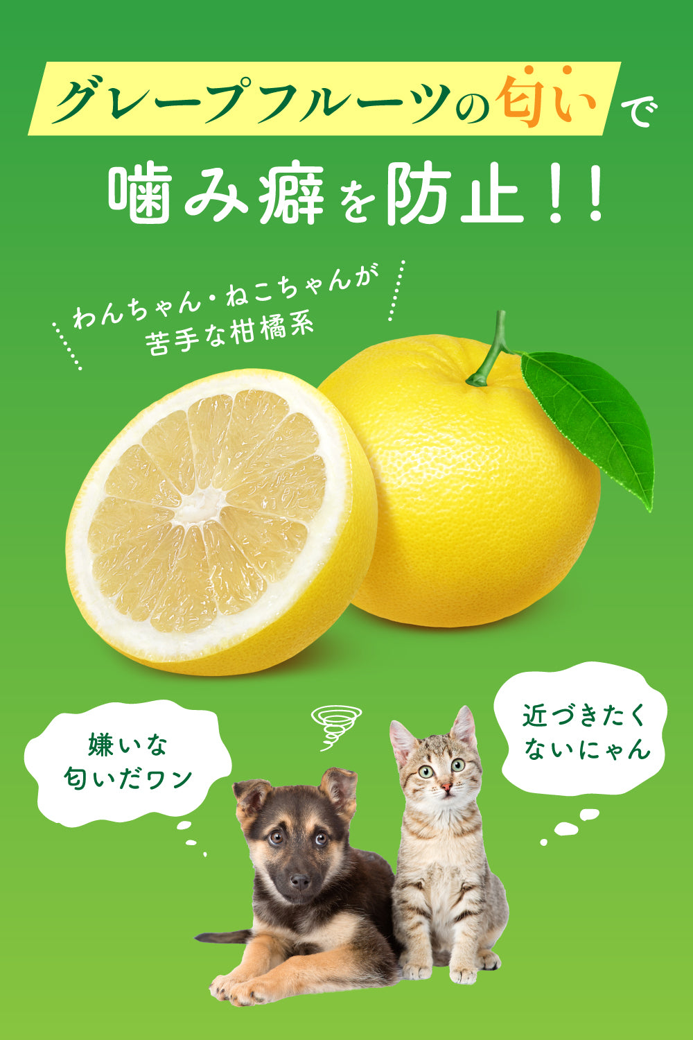 【犬・猫用】噛み癖防止しつけスプレー PREMIUM 200ml