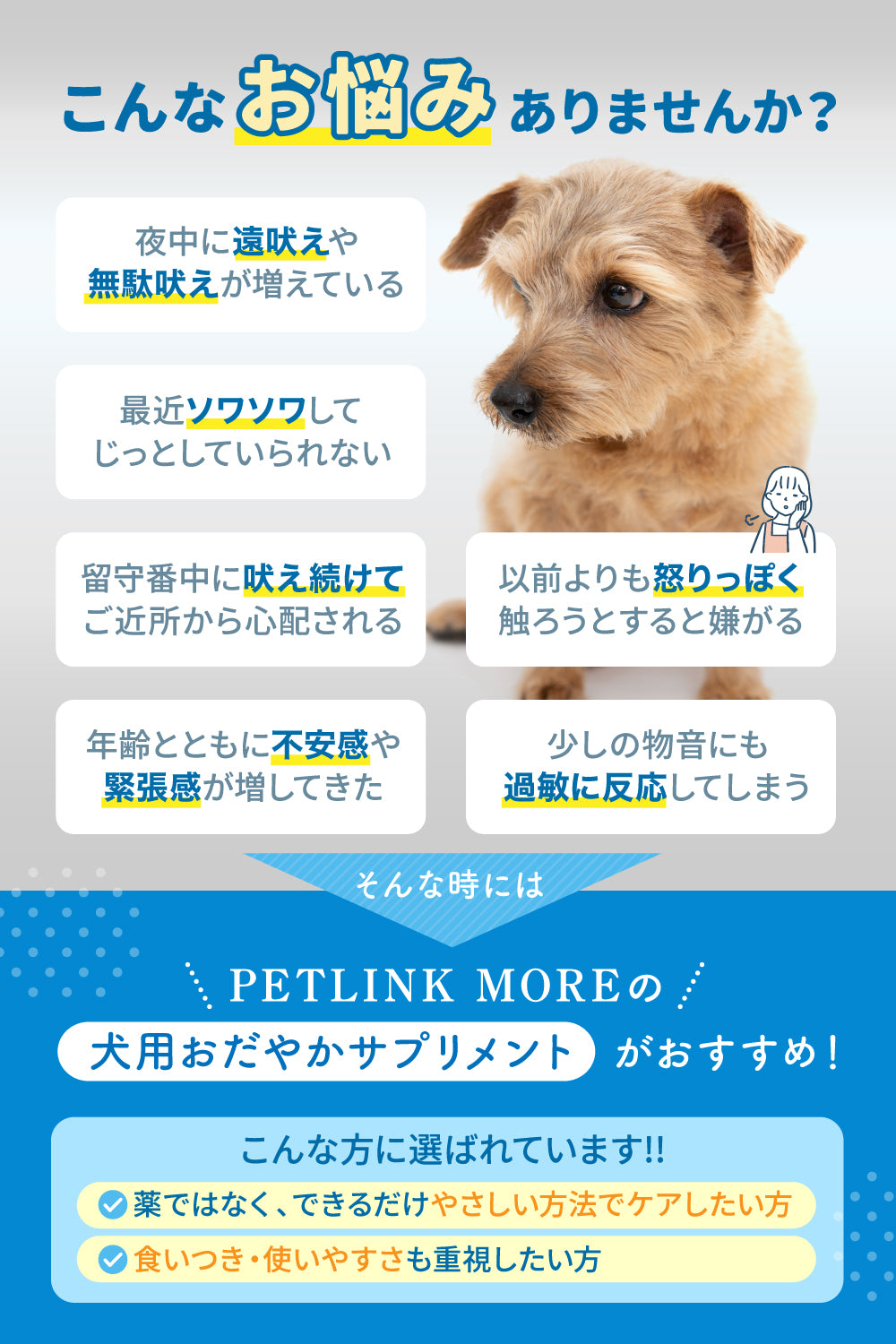 【犬用】おだやかサプリメント GABA配合 チキン味 粉末30g