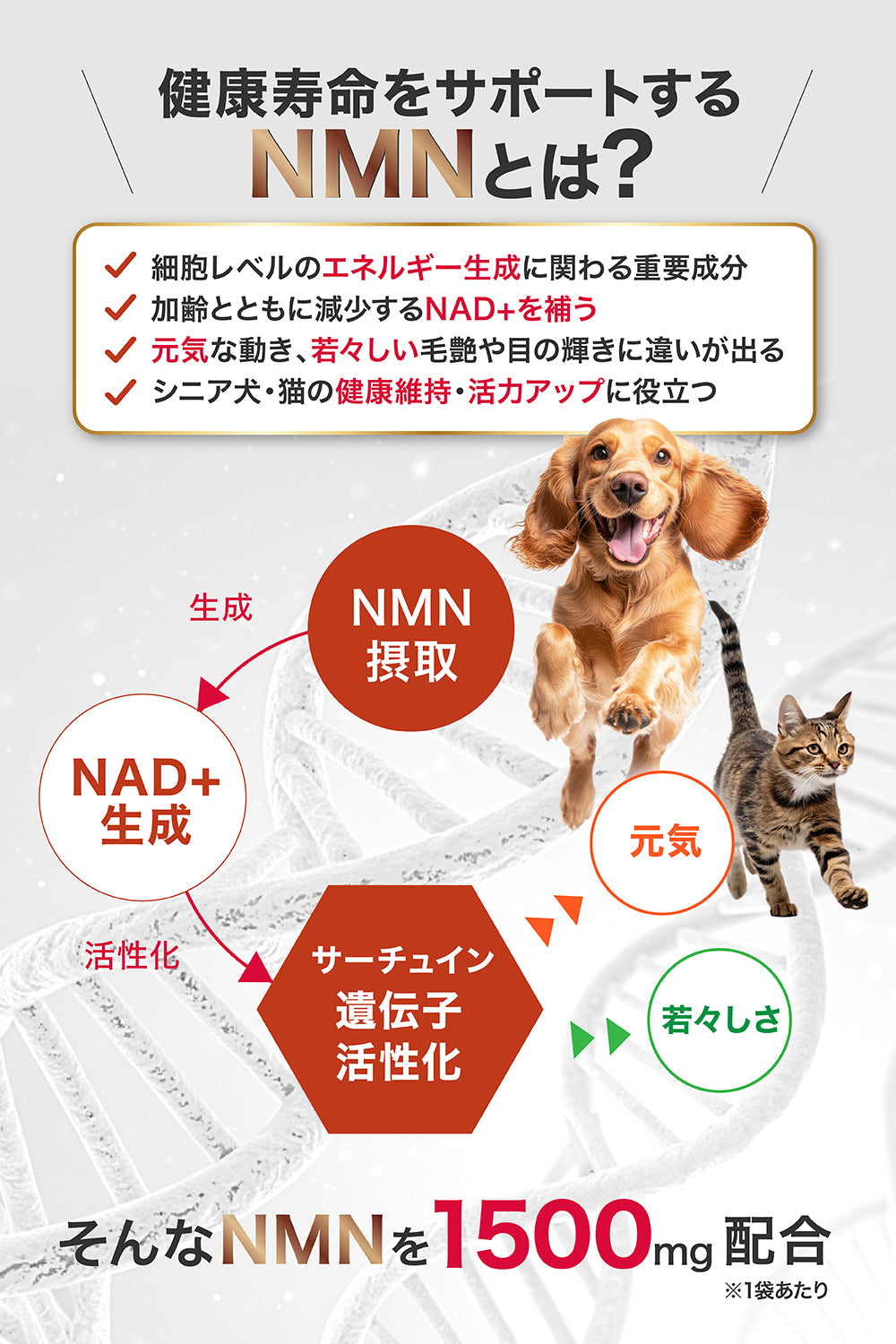【犬・猫用】NMNサプリメント 粉末60g