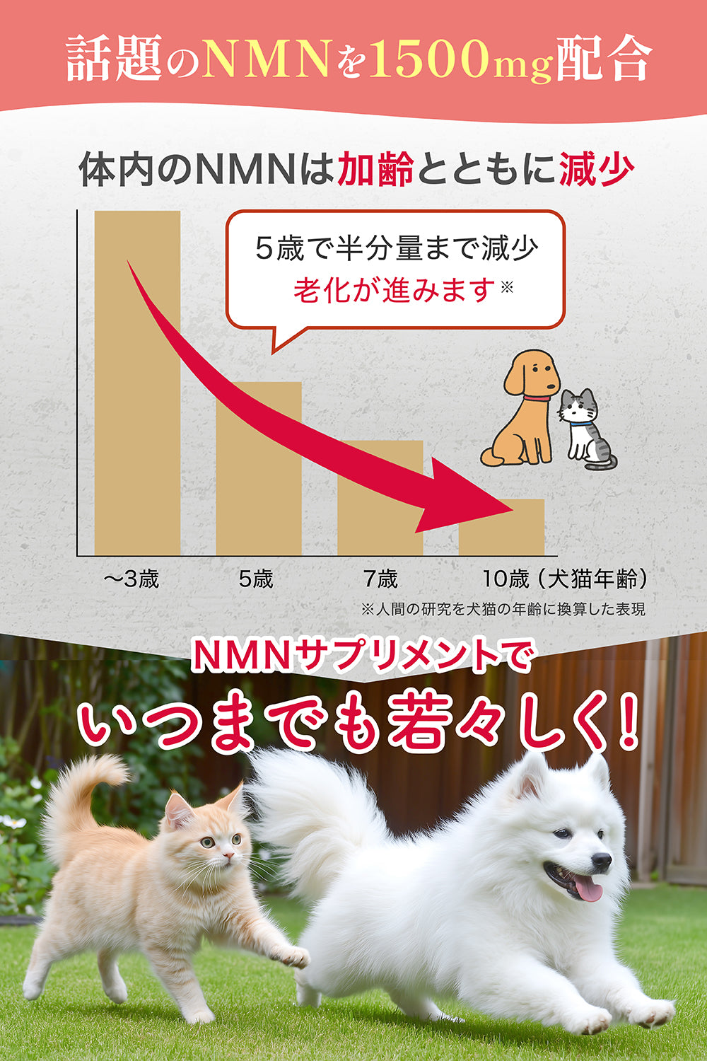 【犬・猫用】NMNサプリメント 粉末60g