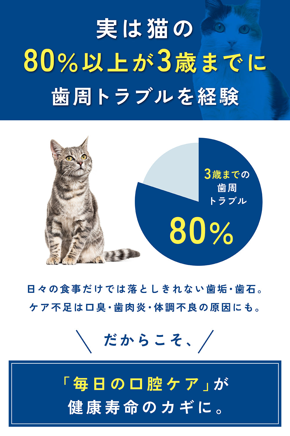 【猫用】口腔ケアサプリメント 歯磨きふりかけ 粉末60g