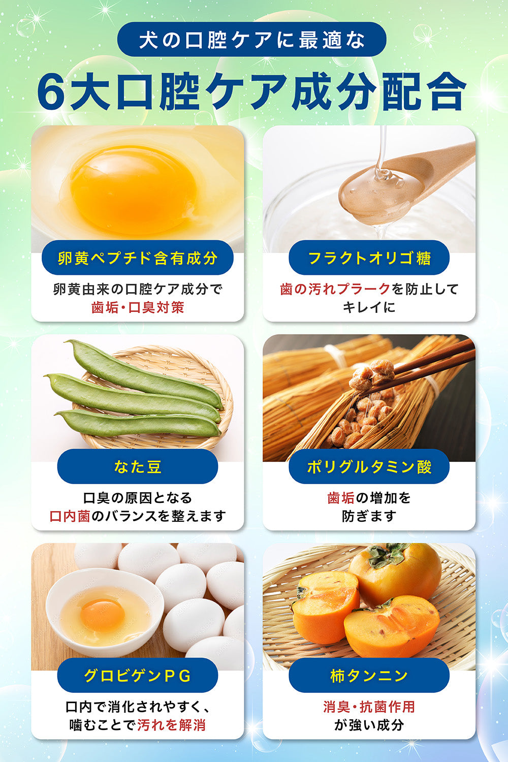 【犬用】口腔ケアサプリメント 歯磨きふりかけ 粉末60g
