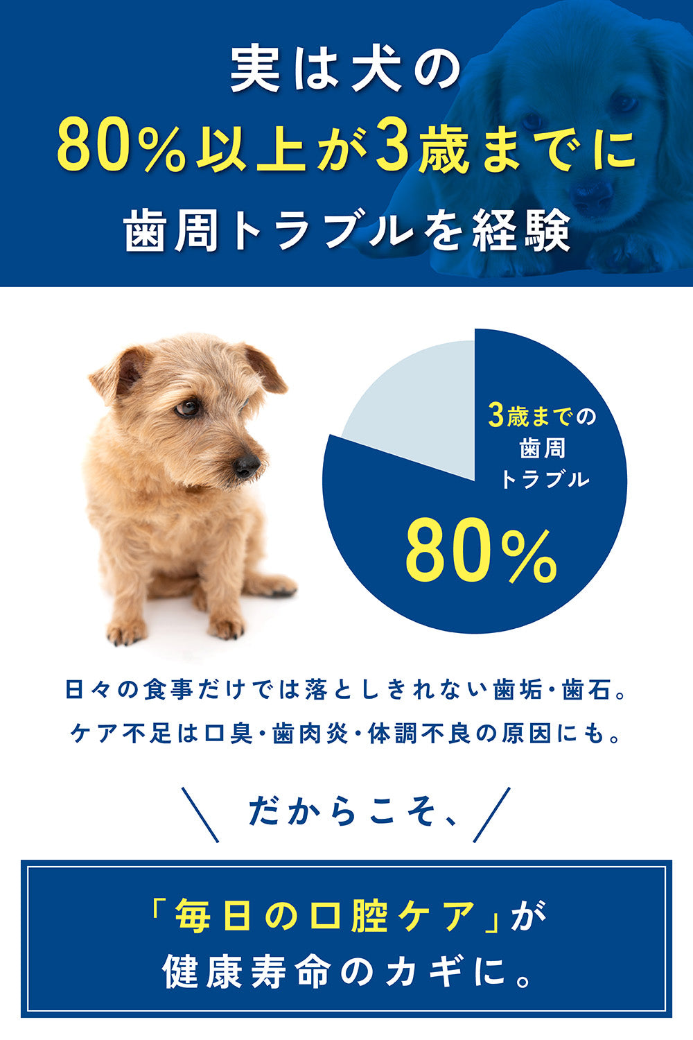 国内生産｜獣医師監修 口腔ケアサプリメント 歯磨きふりかけ｜犬の歯垢