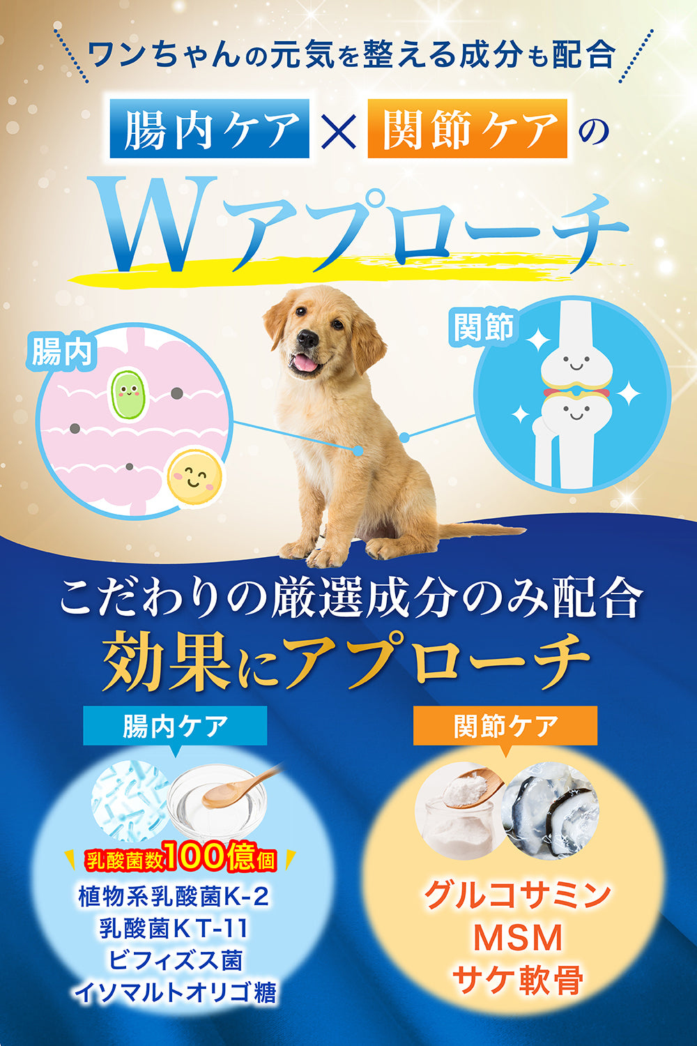 【犬用】口腔ケアサプリメント 歯磨きふりかけ 粉末60g