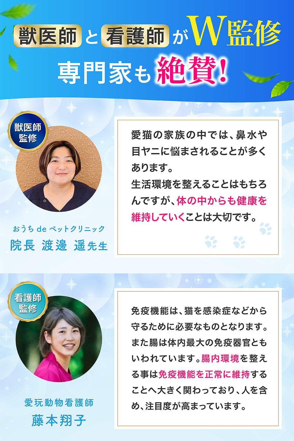 【猫用】腸内ケア×免疫ケア サプリメント 粉末40g