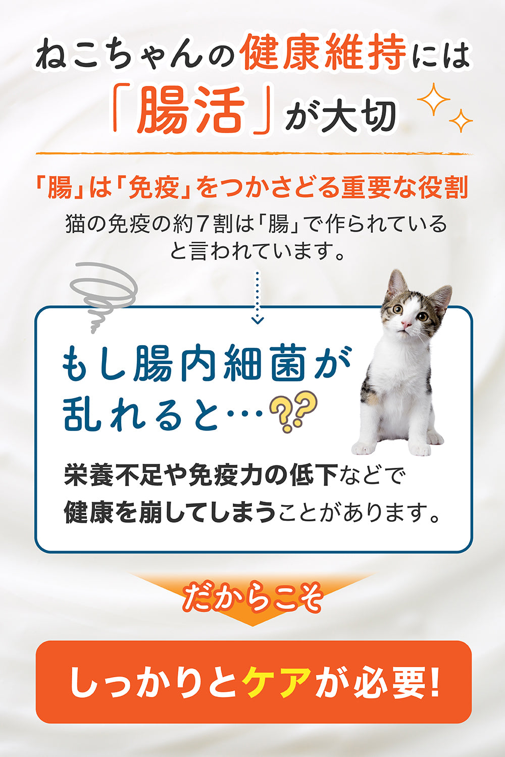 【猫用】腸内ケア×免疫ケア サプリメント 粉末40g