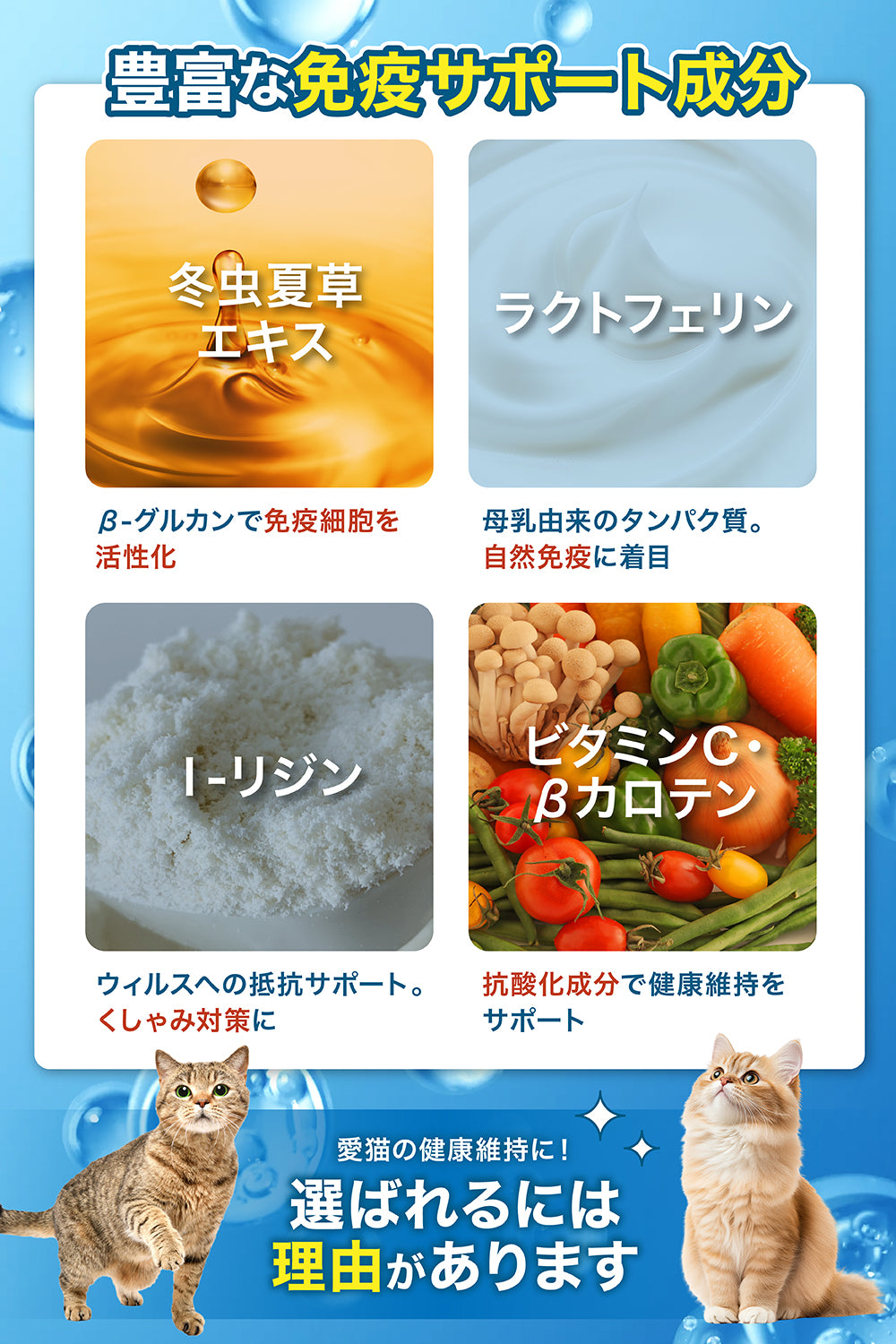 【猫用】腸内ケア×免疫ケア サプリメント 粉末40g