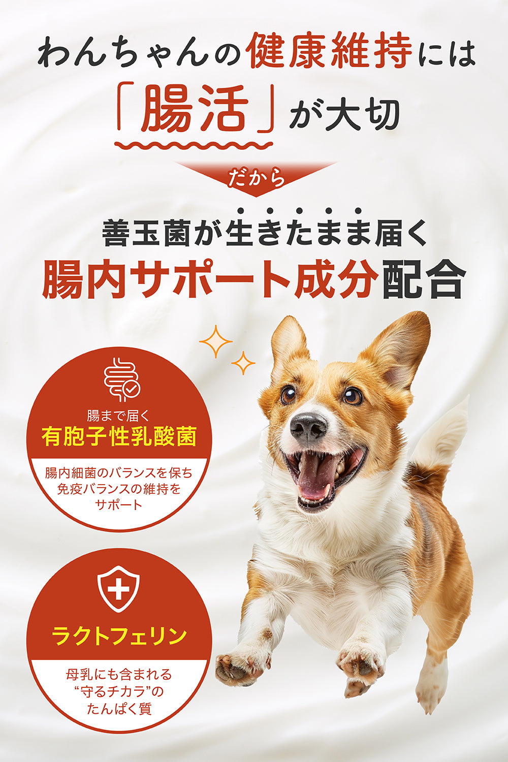 【犬用】皮膚ケア×腸内ケア サプリメント 粉末40g