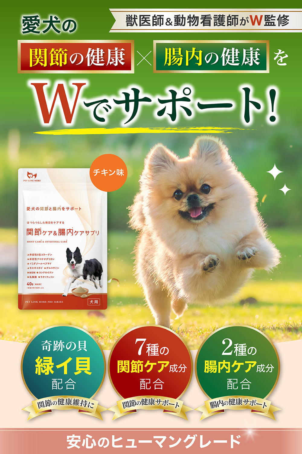 【犬用】関節ケア×腸内ケア サプリメント 粉末40g