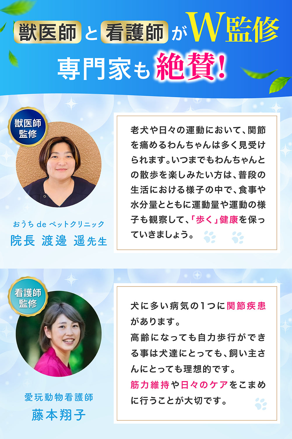 【犬用】関節ケア×腸内ケア サプリメント 粉末40g