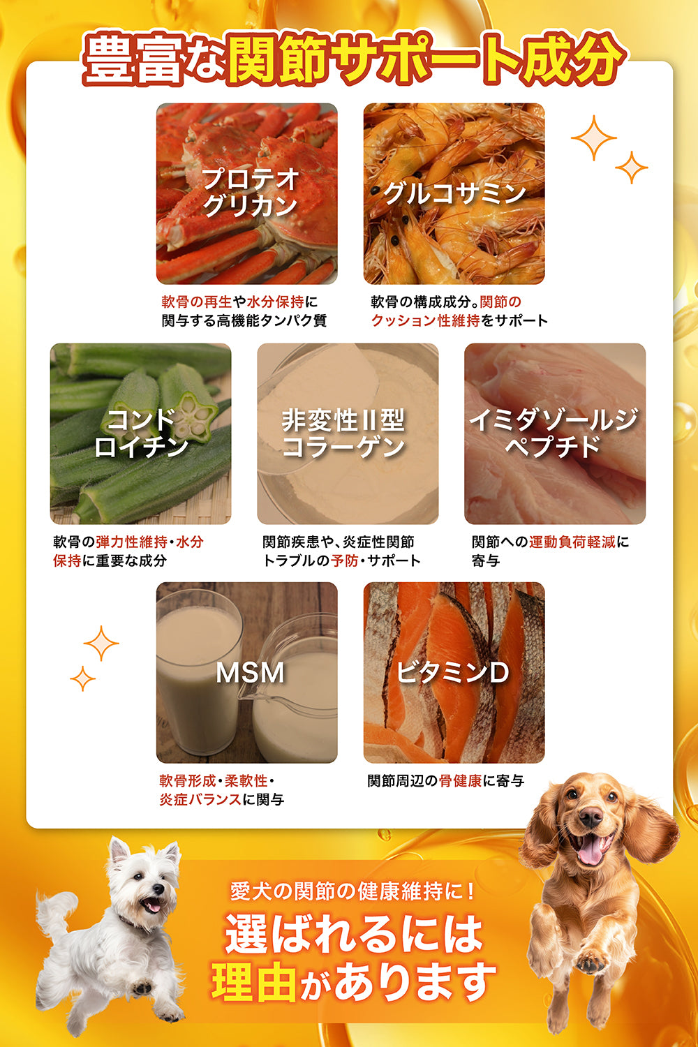 【犬用】関節ケア×腸内ケア サプリメント 粉末40g