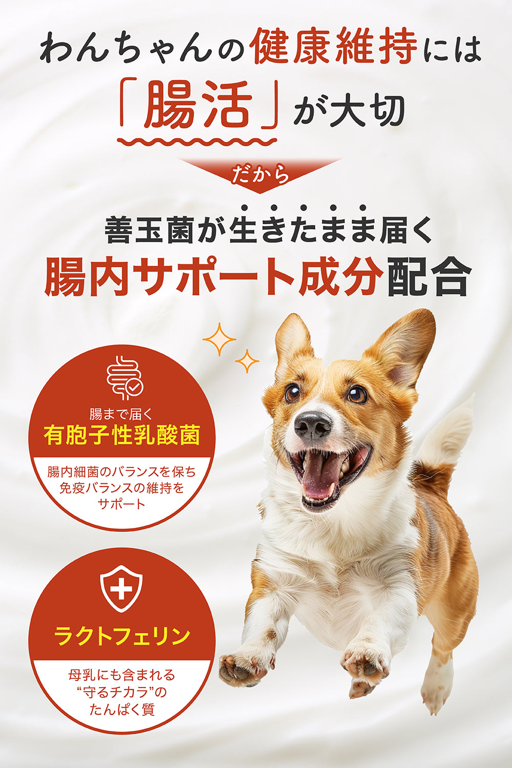 【犬用】関節ケア×腸内ケア サプリメント 粉末40g