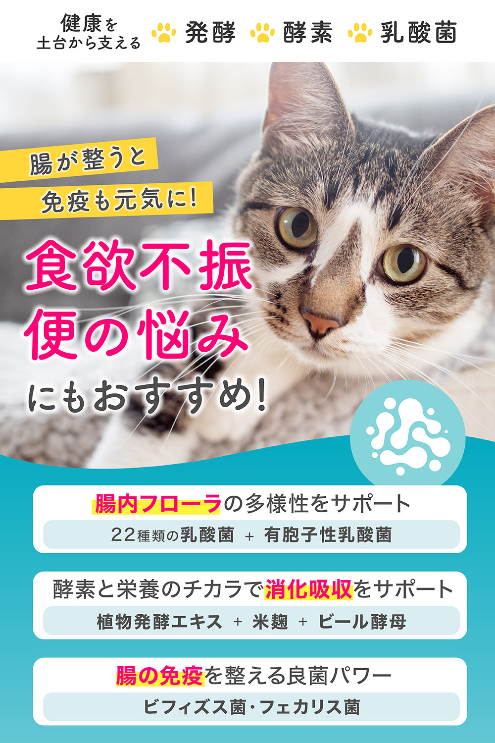 【犬・猫用】総合ケア サプリメント 粉末60g