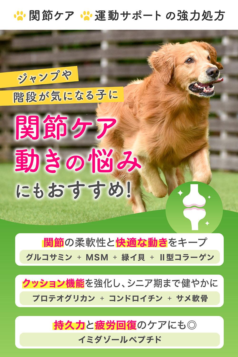 【犬・猫用】総合ケア サプリメント 粉末60g