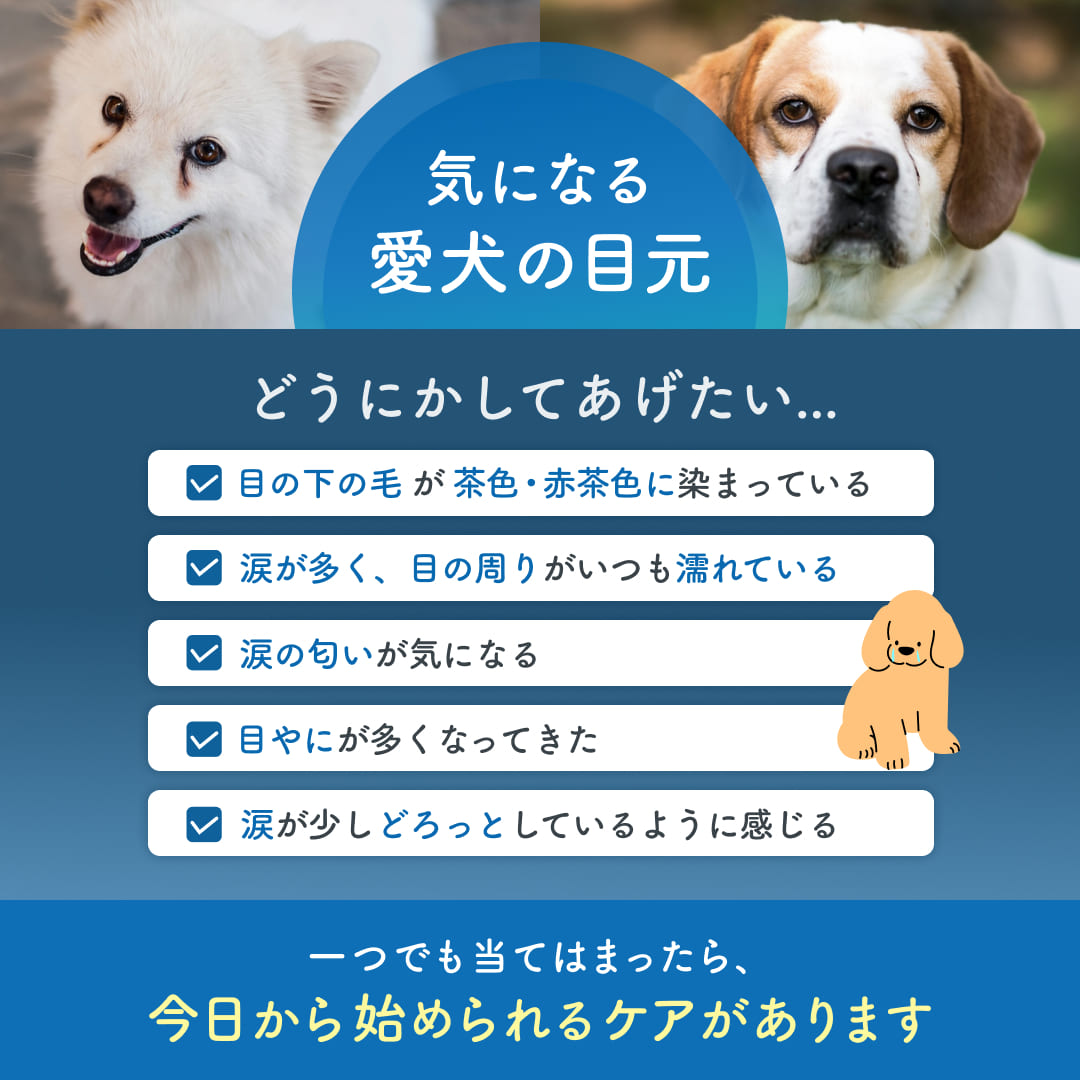 【犬用】涙クリアサプリメント チキン味  粉末 45g
