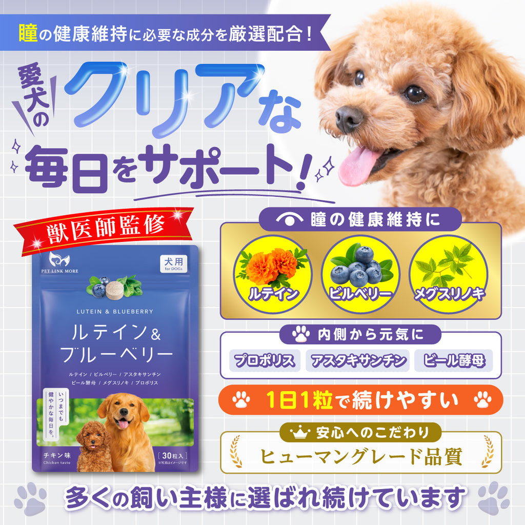 【犬用】ルテイン＆ブルーベリーサプリメント チキン味 錠剤30粒