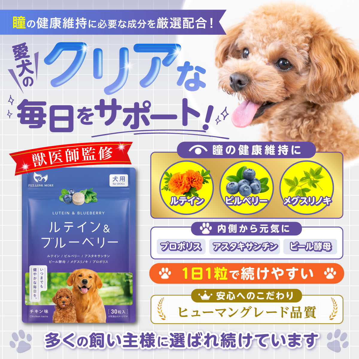 【犬用】ルテイン＆ブルーベリーサプリメント チキン味 錠剤30粒