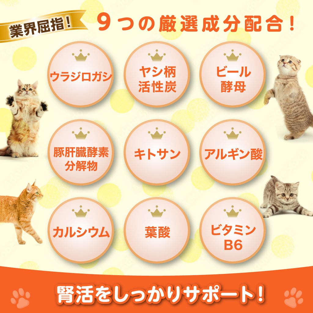 【猫用】活性炭＆ウラジロガシ サプリメント 錠剤60粒