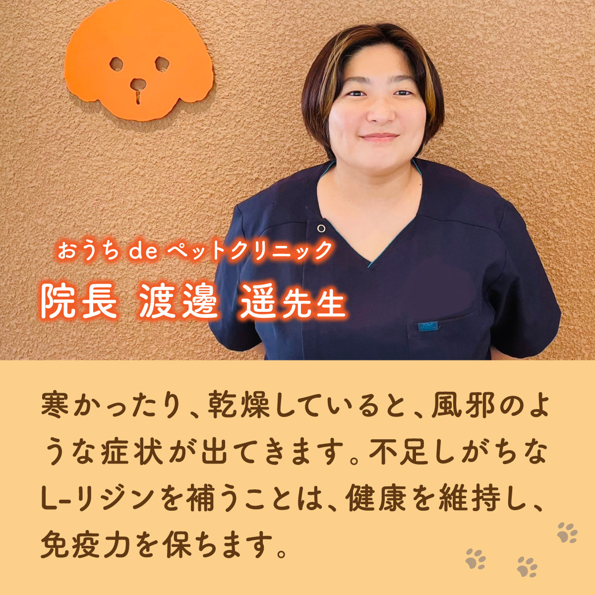 【猫用】リジンサプリメント 粉末