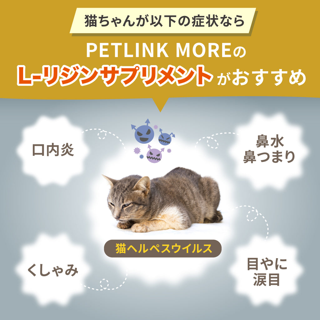 【猫用】リジンサプリメント 粉末