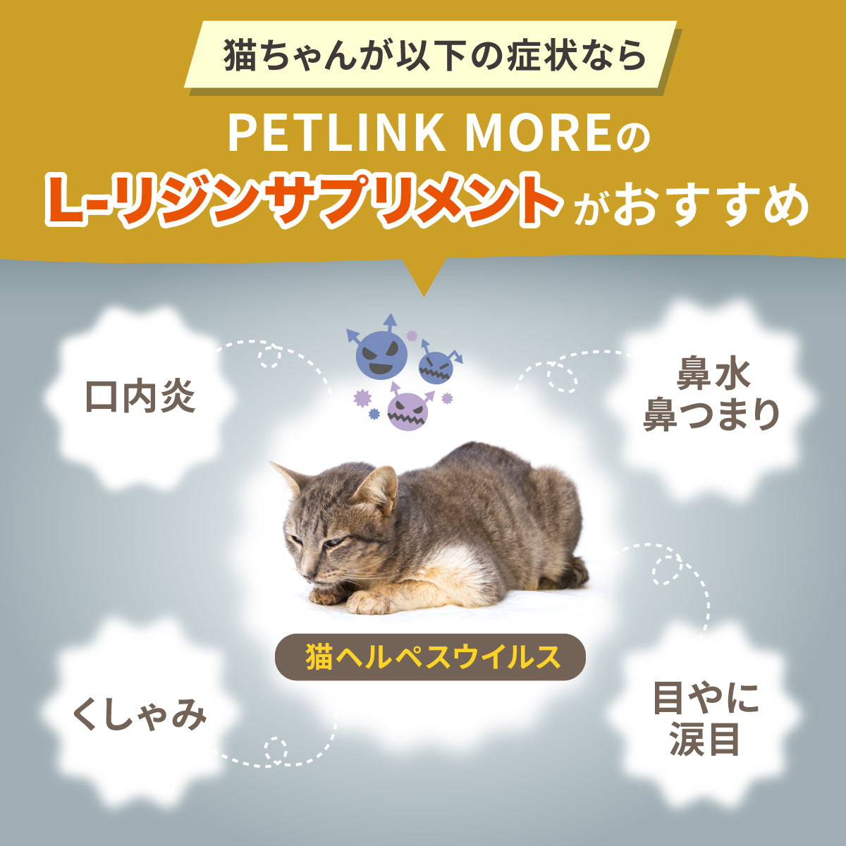 【猫用】リジンサプリメント 粉末