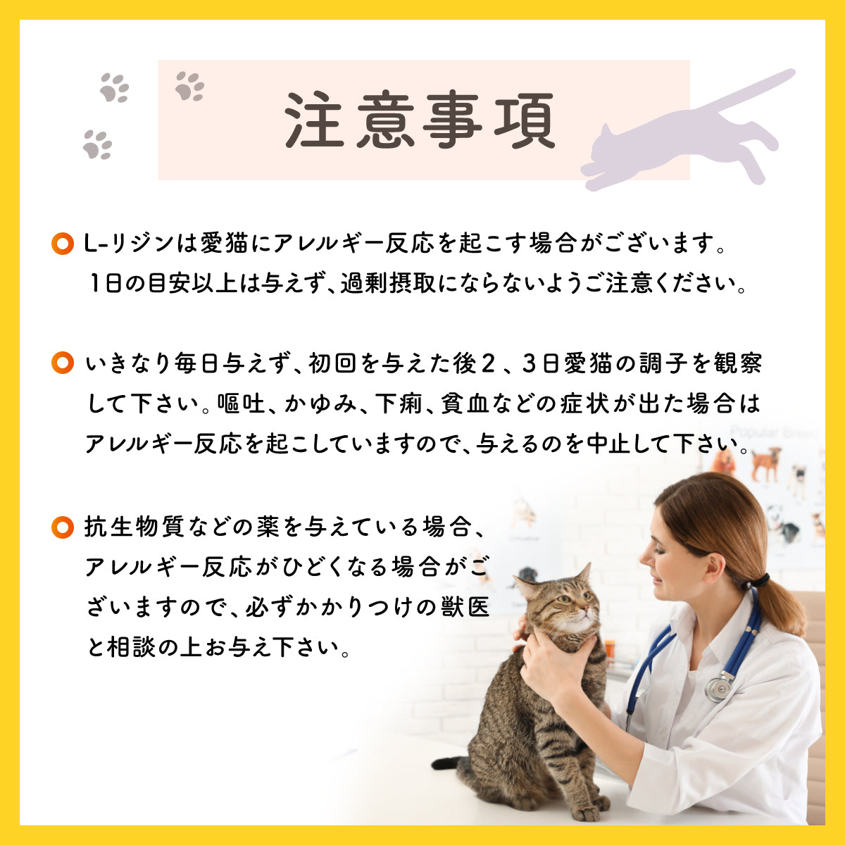 【猫用】リジンサプリメント 粉末